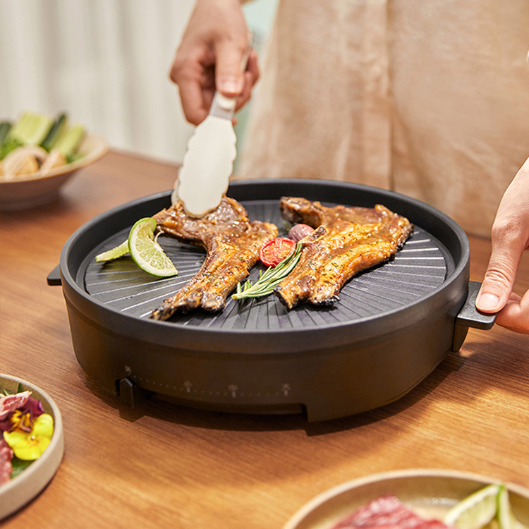 Barbecue Electric Grill: Multi-Function Fryer for Perfect Steaks